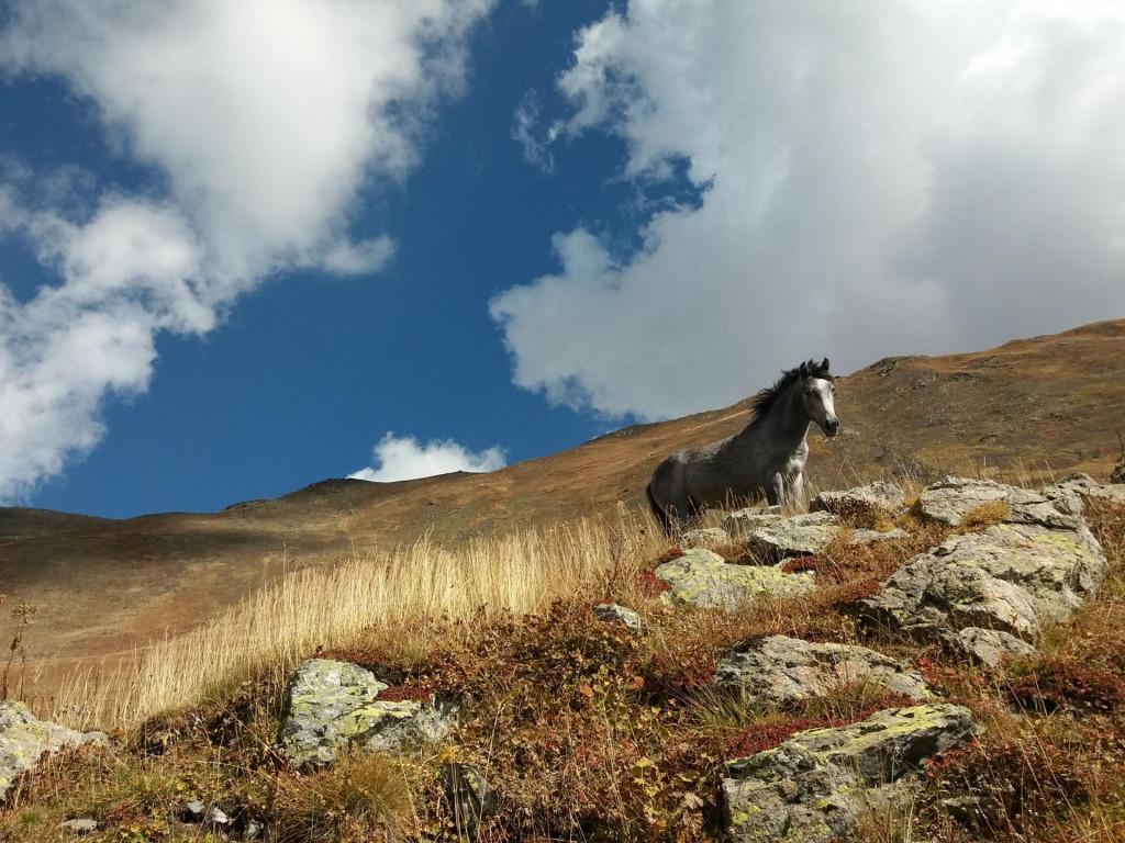 mta banguriani mountain svaneti