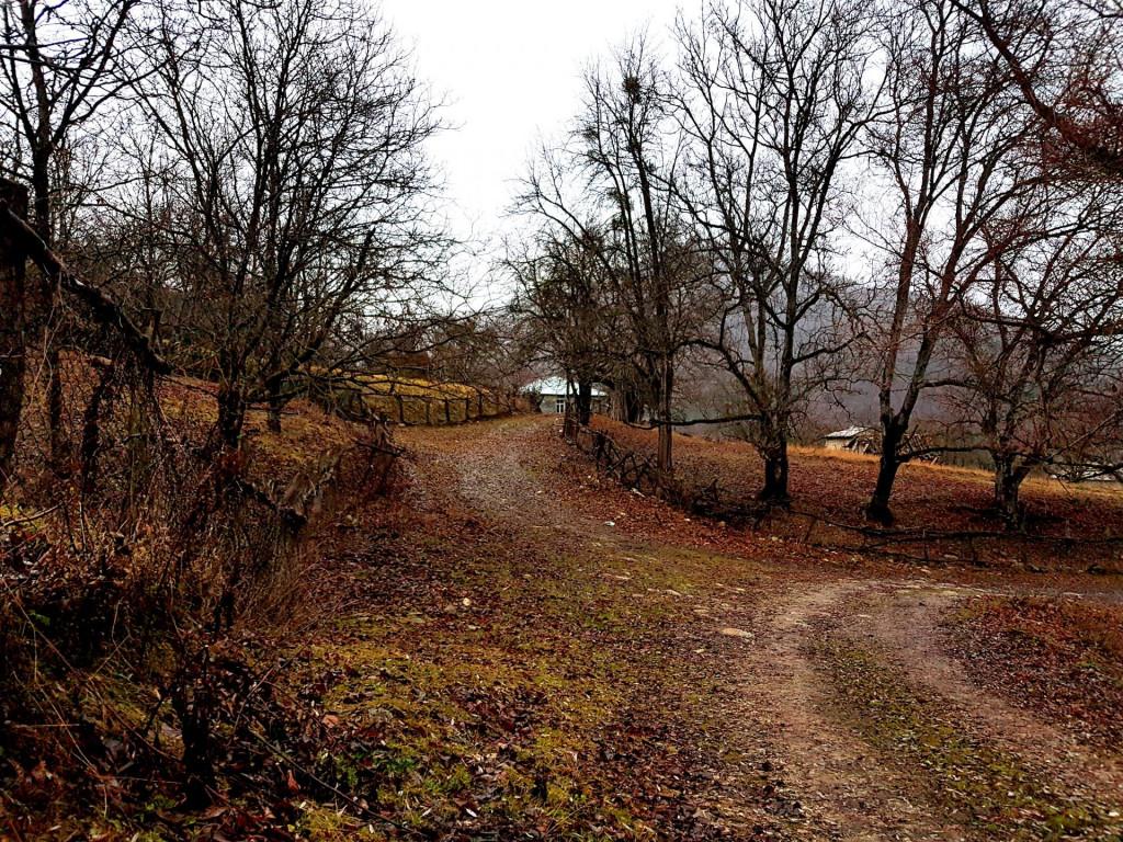 ბოდახევი, თიანეთი