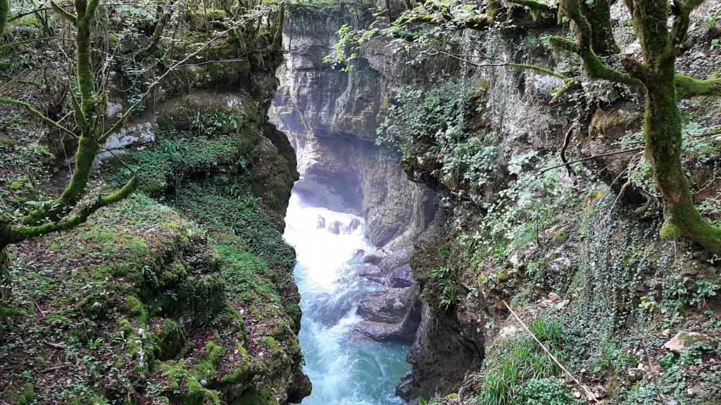 See Georgia გთავზობთ:👇 ერთდღიან ტურს ოკაცესა და მარტვილის კანიონებზე. აირჩიეთ თქვენთვის სასურველი თარიღი: 3 ივლისი, 18 ივლისი, 31 ივლისი, 14 აგვისტო, 22 აგვისტო, 29 აგვისტო.