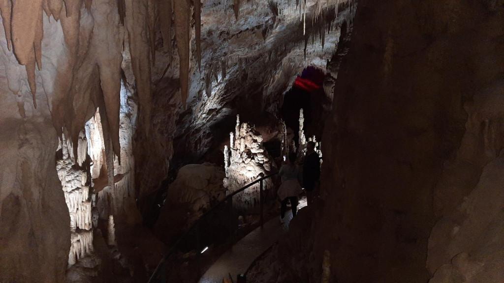 See Georgia განახლებული ტურებით გიბრუნდებათ❤ -გთავაზობთ ზაფხულის სეზონის პირველ ტურს იმერეთში: ✅ 11 ივლისი, 21 აგვისტო