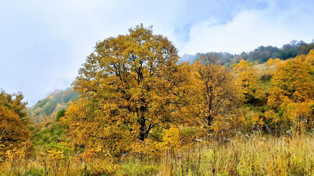 Black Rock Lakes - 3 Day Trekking Tour