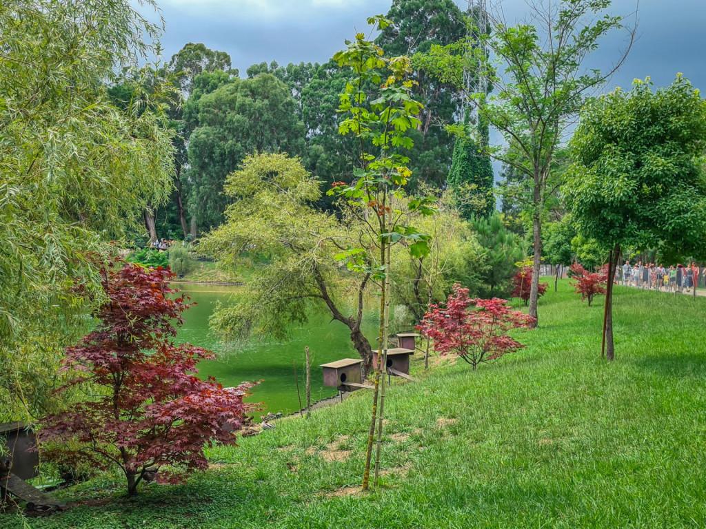 შეკვეთილის დენდროლოგიური პარკი Shekvetili Dendrological Park Дендрологический парк Шекветили