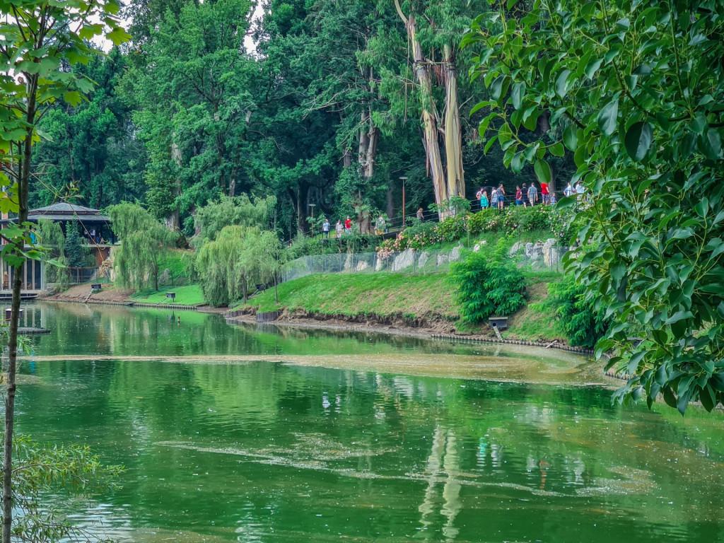 შეკვეთილის დენდროლოგიური პარკი Shekvetili Dendrological Park Дендрологический парк Шекветили