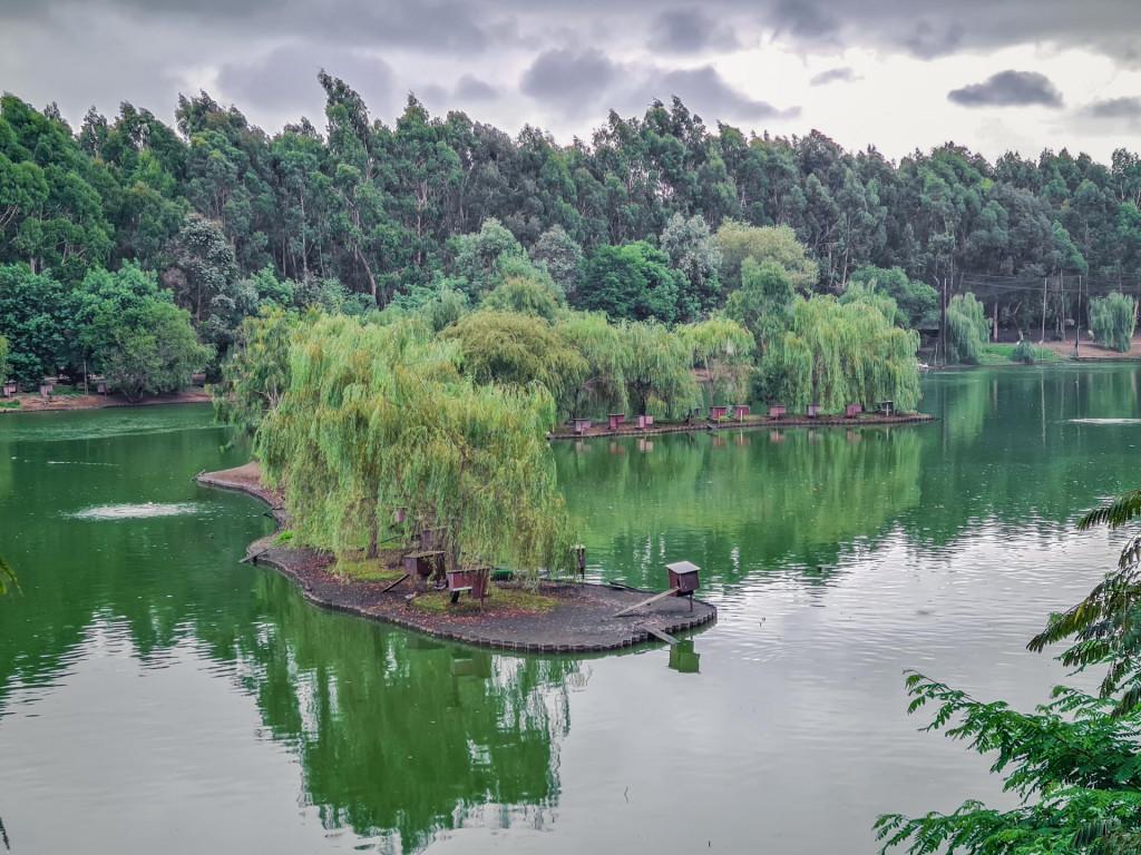 შეკვეთილის დენდროლოგიური პარკი Shekvetili Dendrological Park Дендрологический парк Шекветили