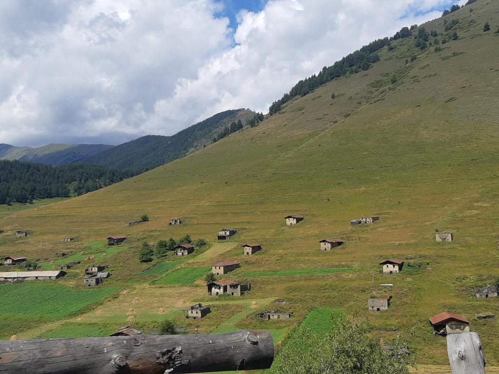 3 დაუვიწყარი დღე თუშეთში