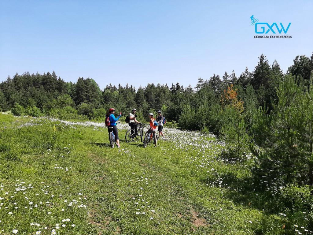 ველოტური კლდეკარზე