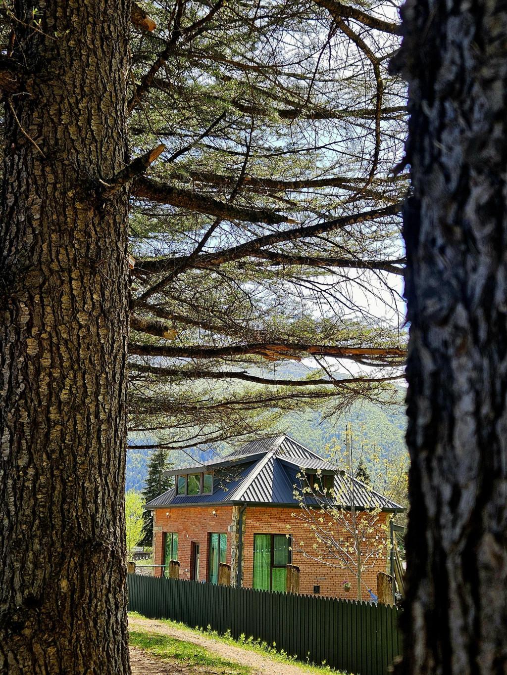 კოტეჯი  \