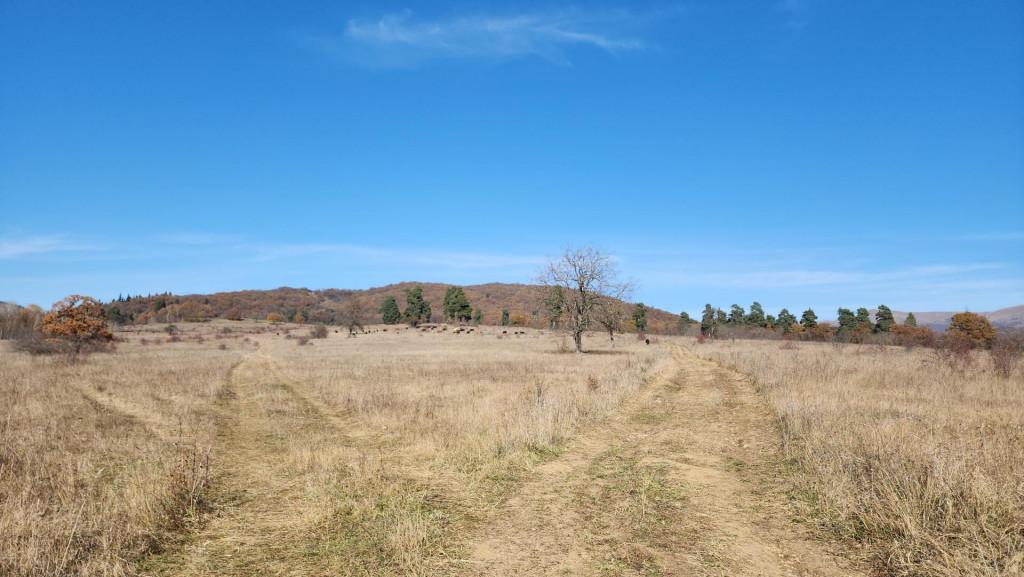 მანგლისი - თხინვალა - მანგლისი