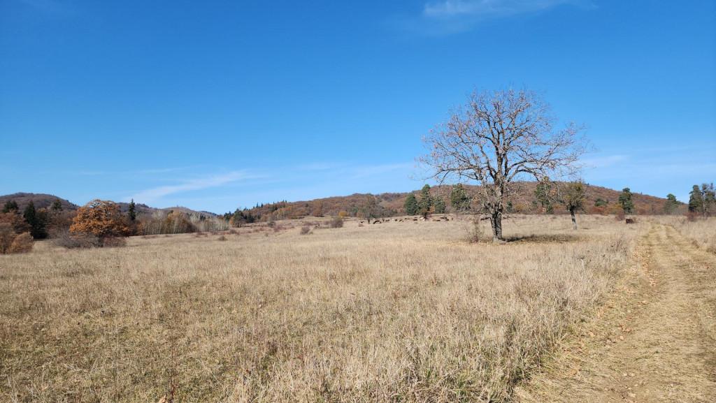 მანგლისი - თხინვალა - მანგლისი
