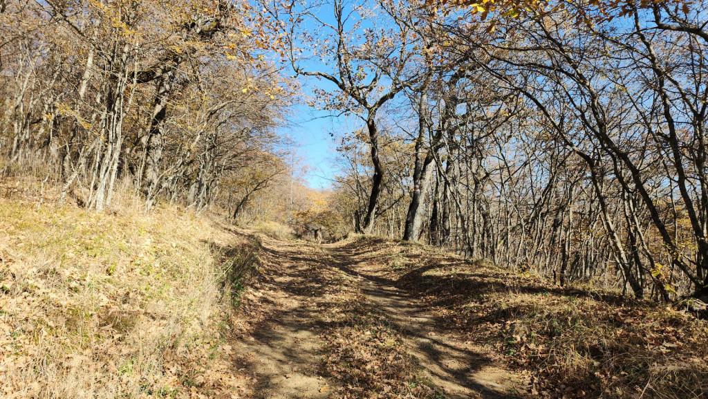 მანგლისი - თხინვალა - მანგლისი