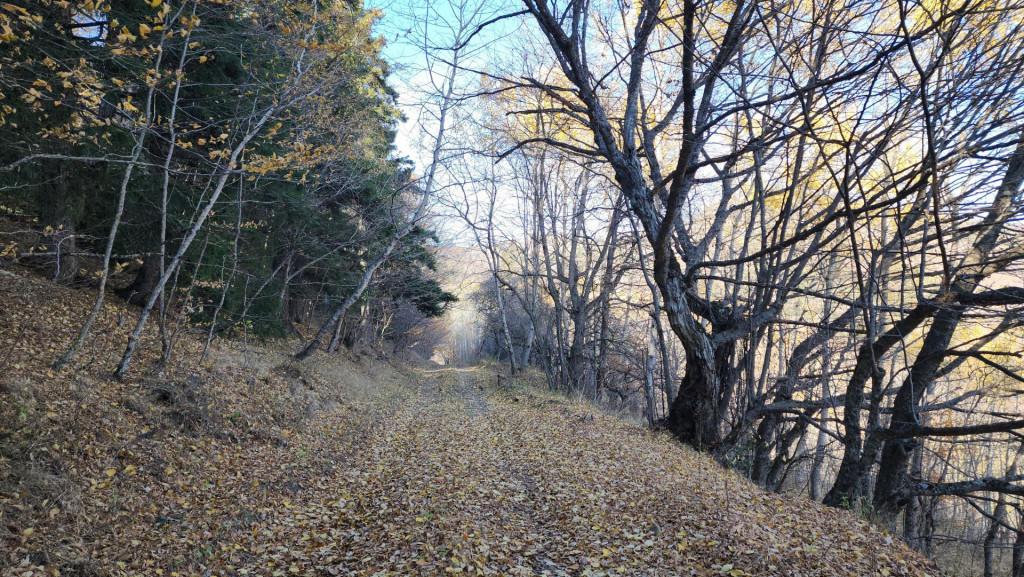 მანგლისი - თხინვალა - მანგლისი