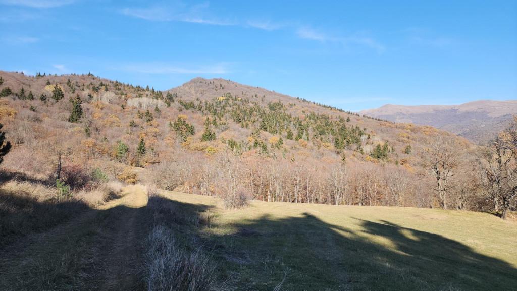 მანგლისი - თხინვალა - მანგლისი