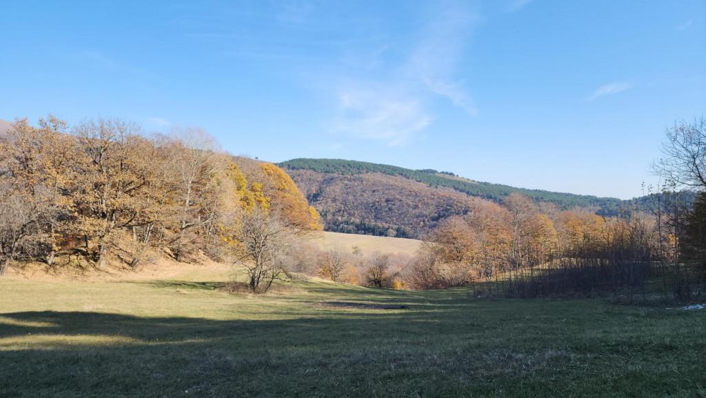 მანგლისი - თხინვალა - მანგლისი