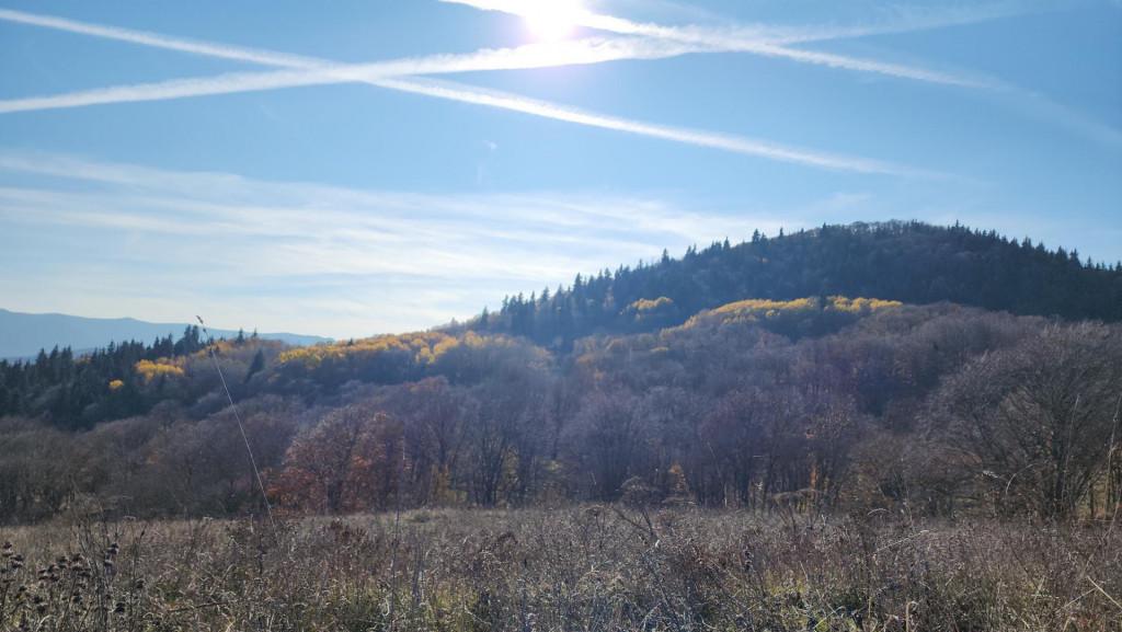 მანგლისი - თხინვალა - მანგლისი