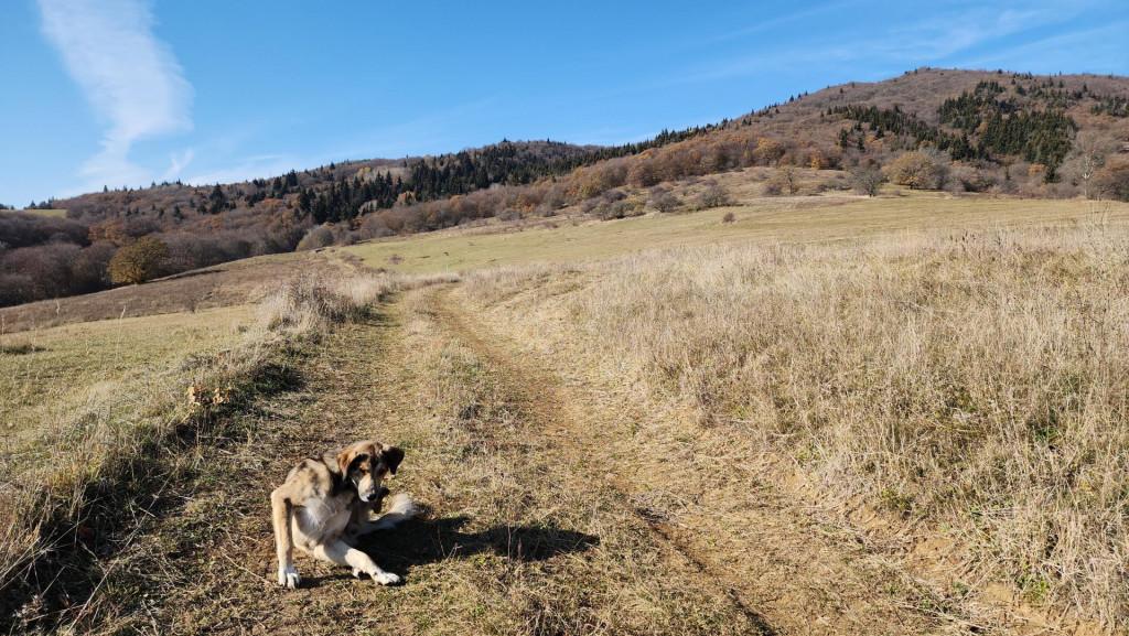 მანგლისი - თხინვალა - მანგლისი