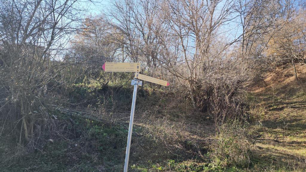 მანგლისი - თხინვალა - მანგლისი