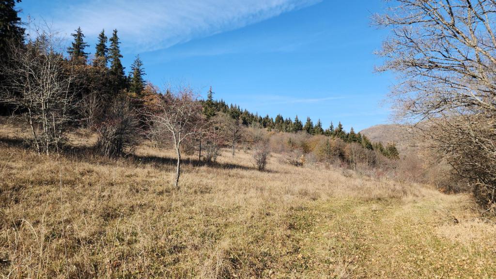 მანგლისი - თხინვალა - მანგლისი