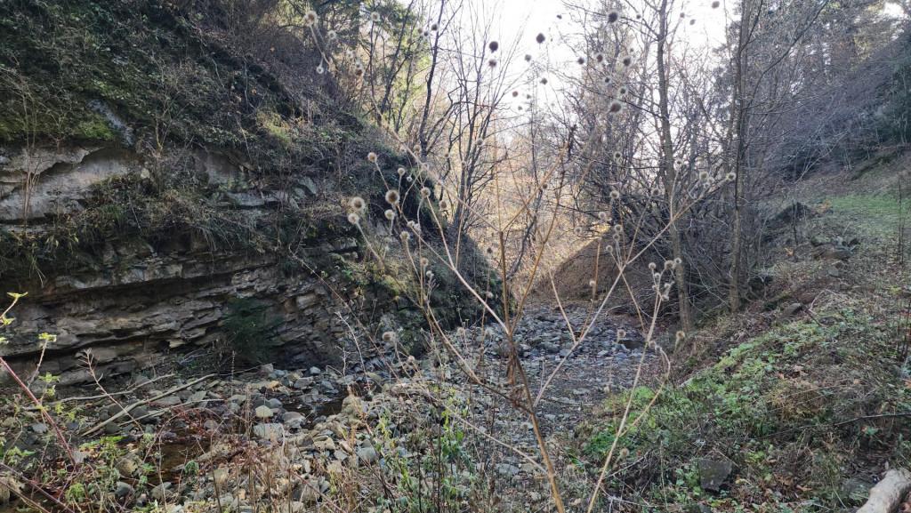 მანგლისი - თხინვალა - მანგლისი