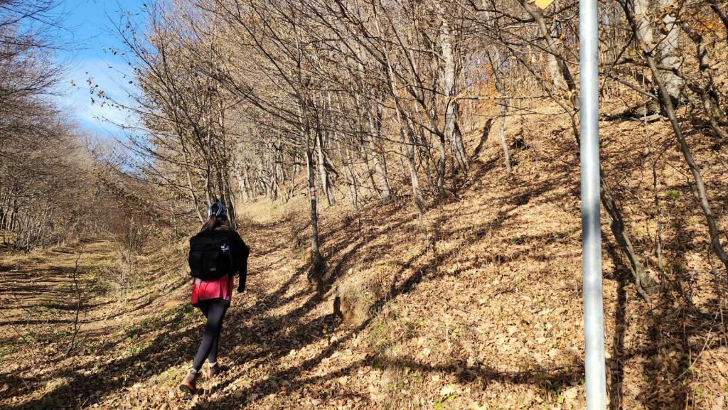 მანგლისი - თხინვალა - მანგლისი