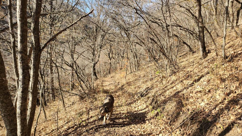 მანგლისი - თხინვალა - მანგლისი