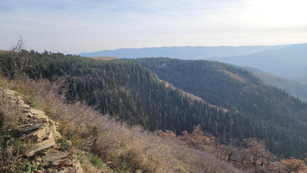 მანგლისი - თხინვალა - მანგლისი