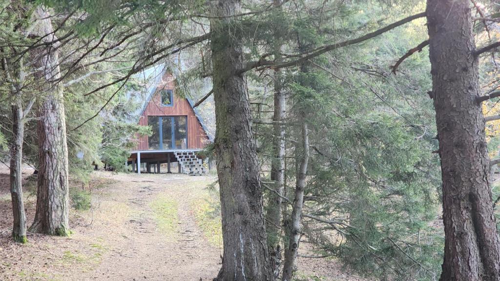 მანგლისი - თხინვალა - მანგლისი