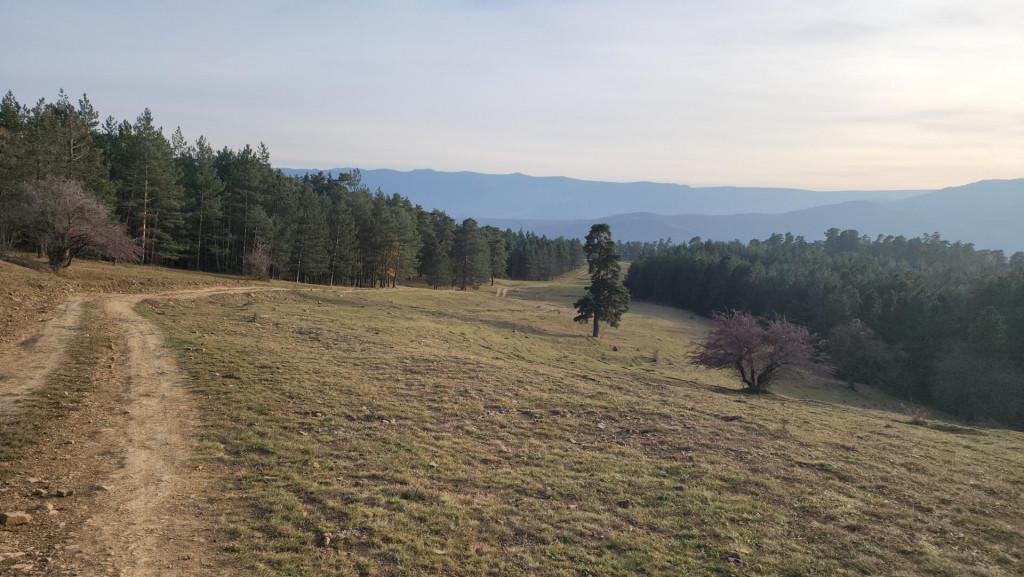 მანგლისი - თხინვალა - მანგლისი
