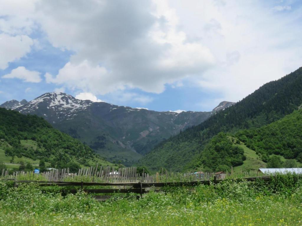 საოჯახო სასტუმრო გული