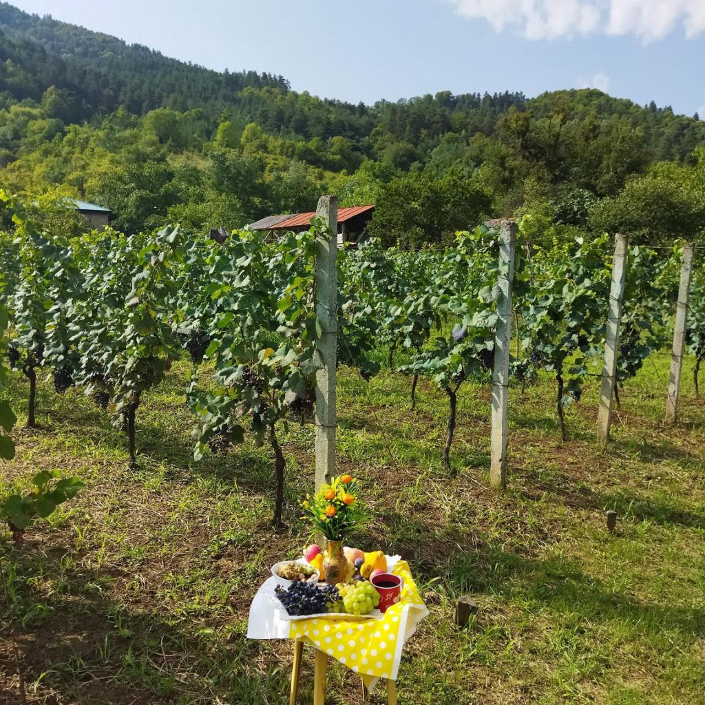 საოჯახო სასტუმრო ლაზუ