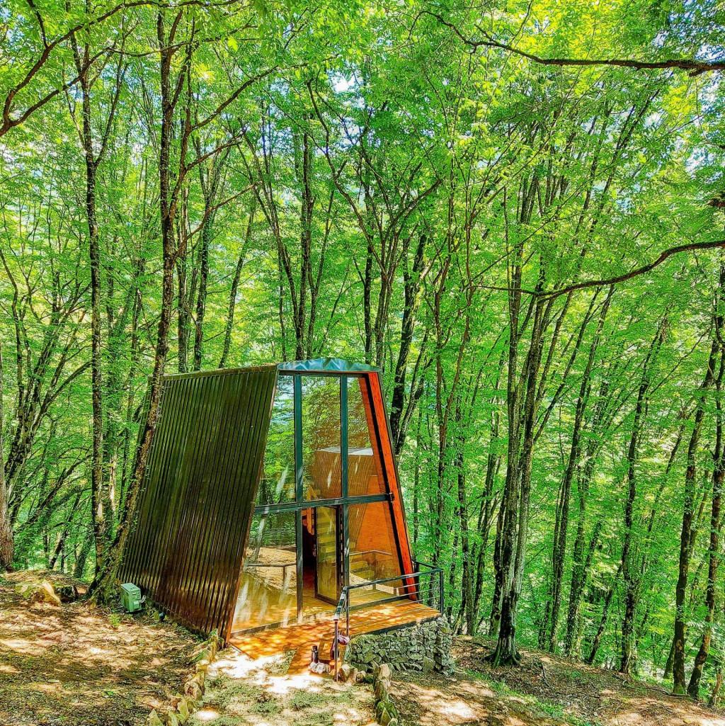 ეკო სოფელი ტყეში