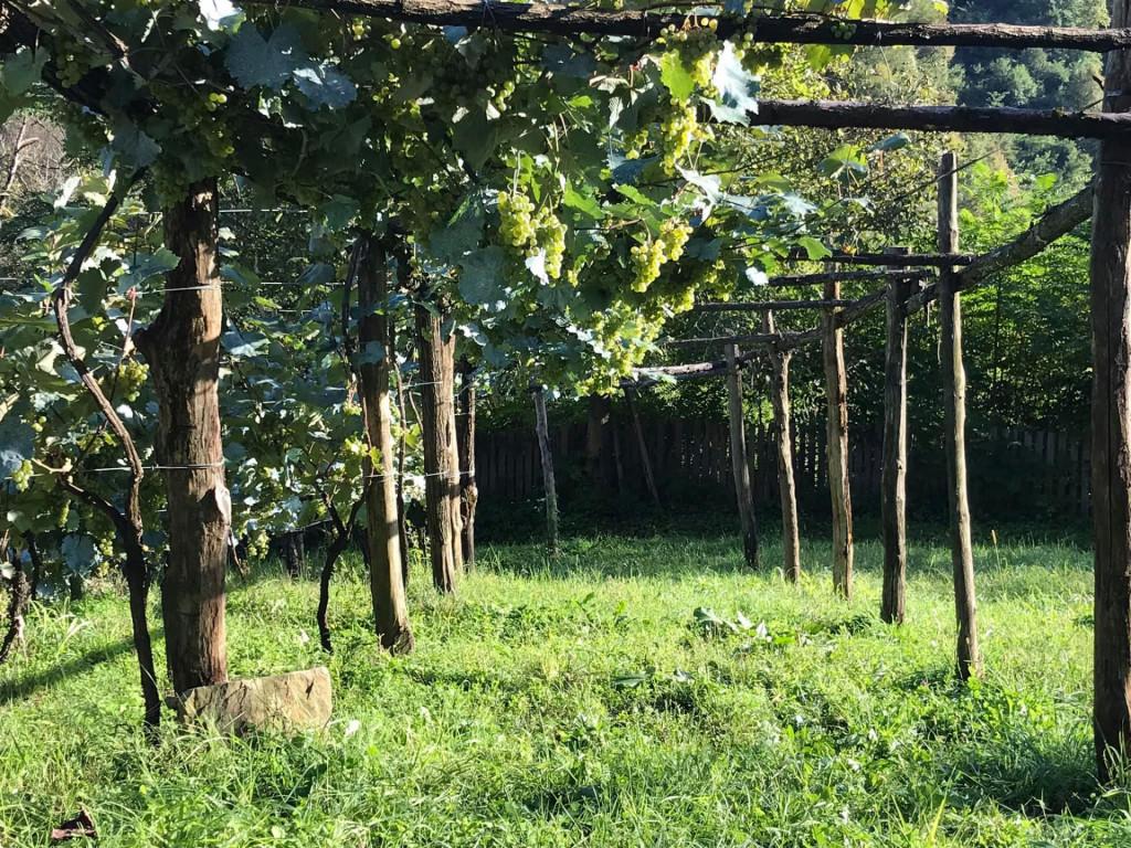 საოჯახო სასტუმრო ლაილაში