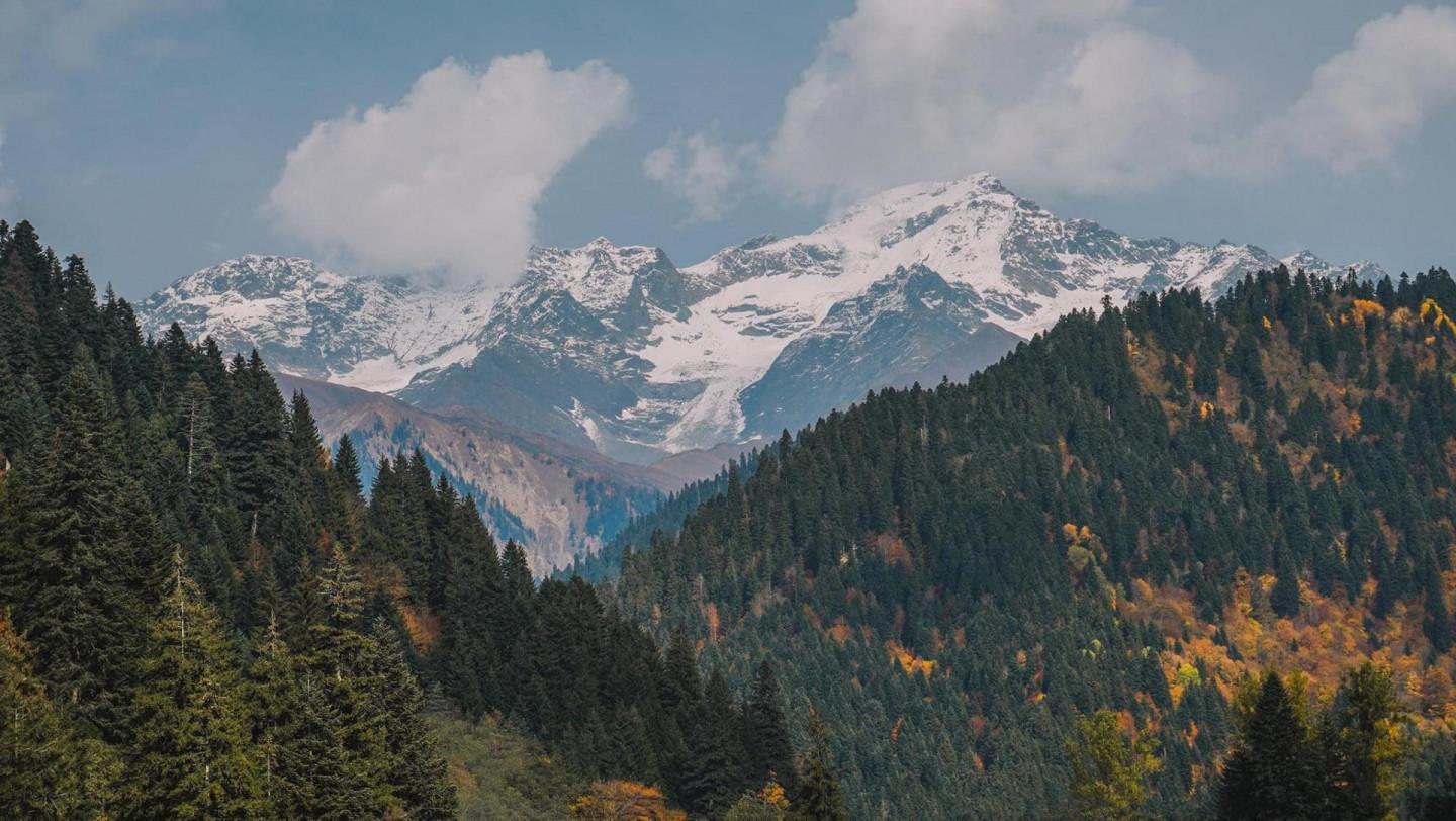 ჰაერი • კოტეჯები უწერაში