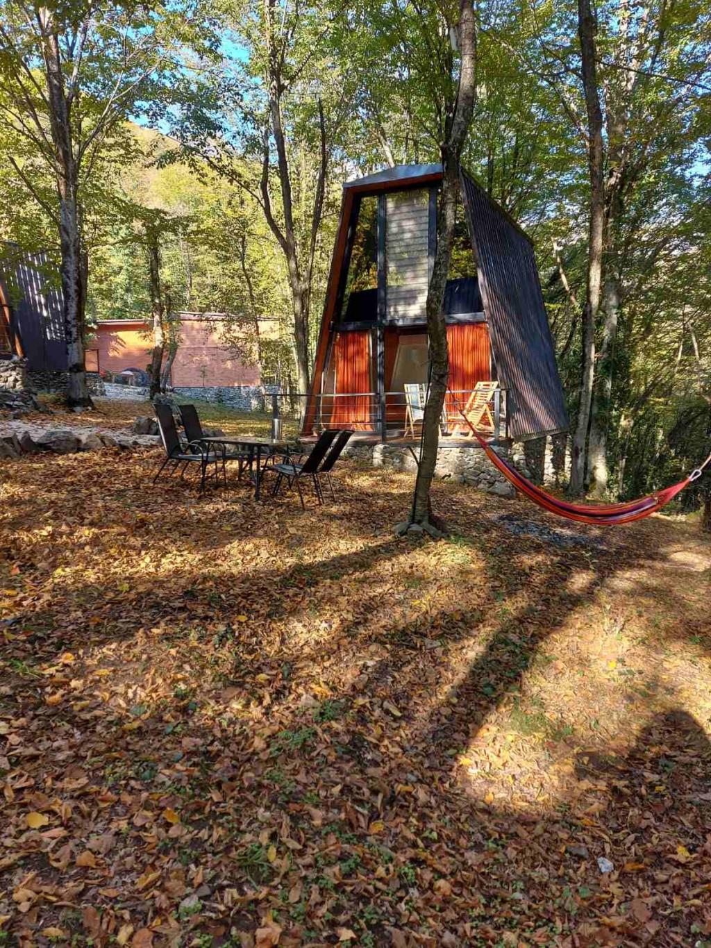 ეკო სოფელი ტყეში