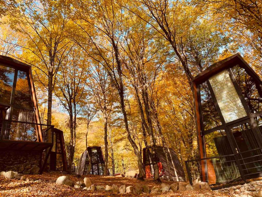 ეკო სოფელი ტყეში