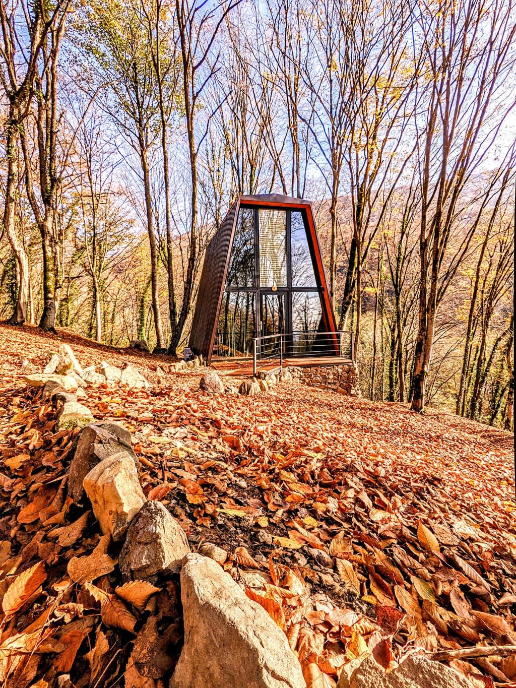 ეკო სოფელი ტყეში