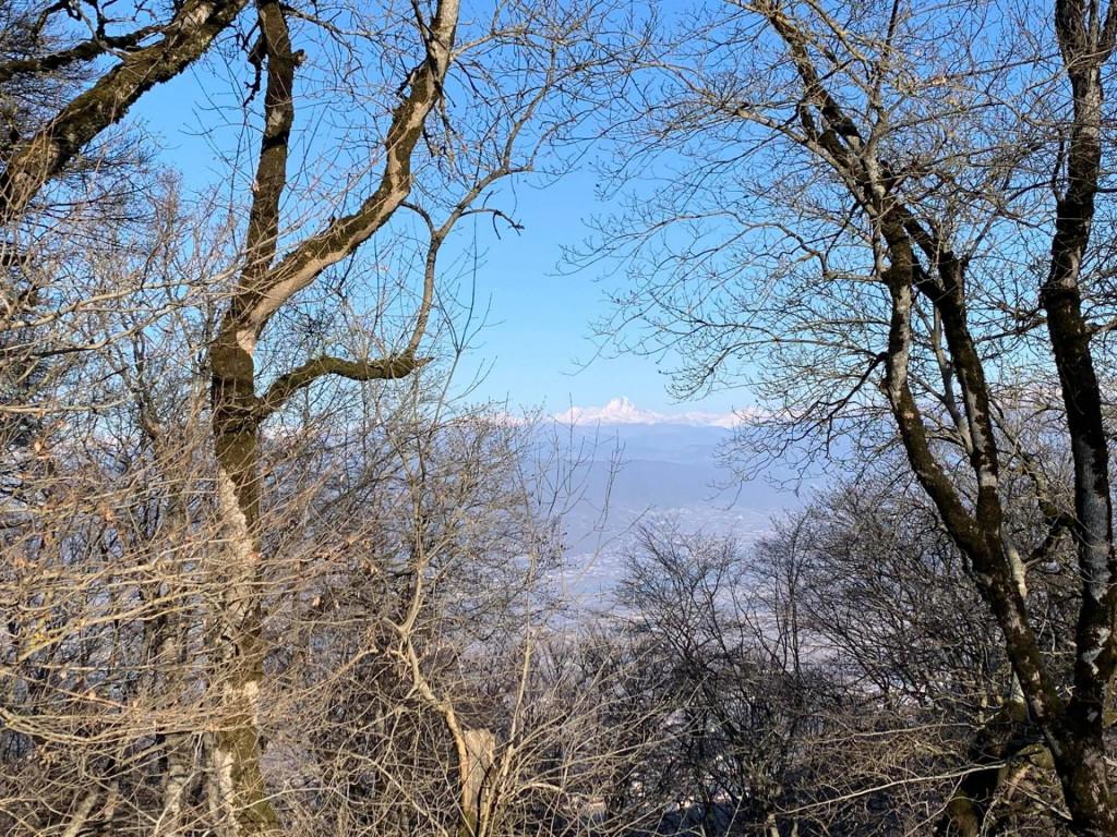 265034397_395012909071191_630440