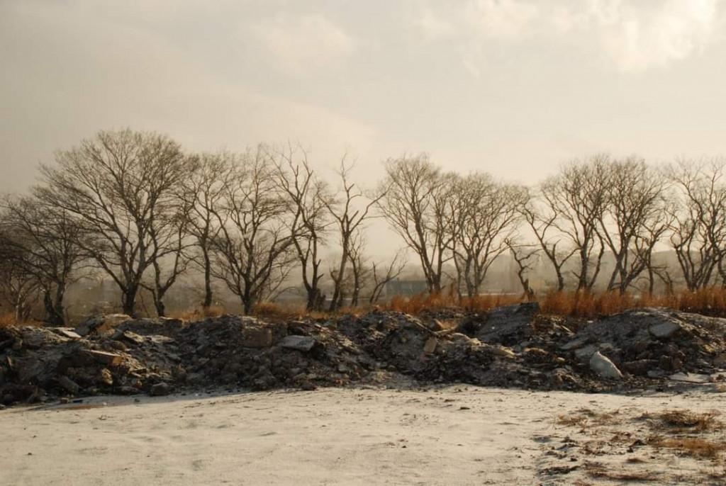 დიღმის ჭალები