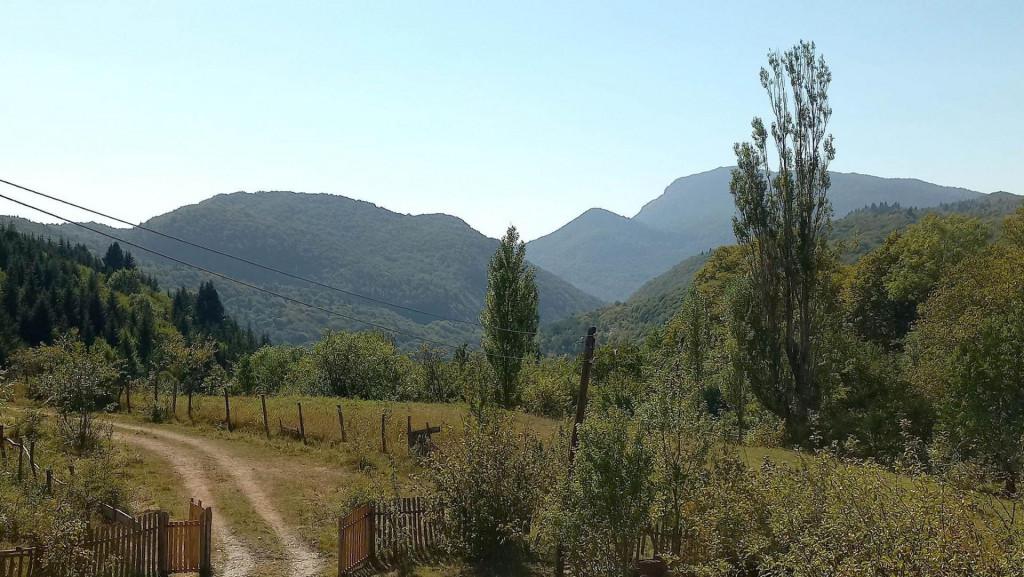 სასტუმრო რაჭაში