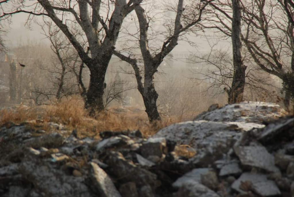 დიღმის ჭალები