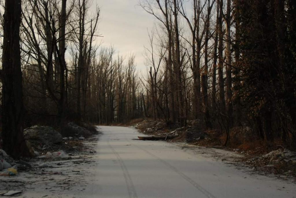 დიღმის ჭალები