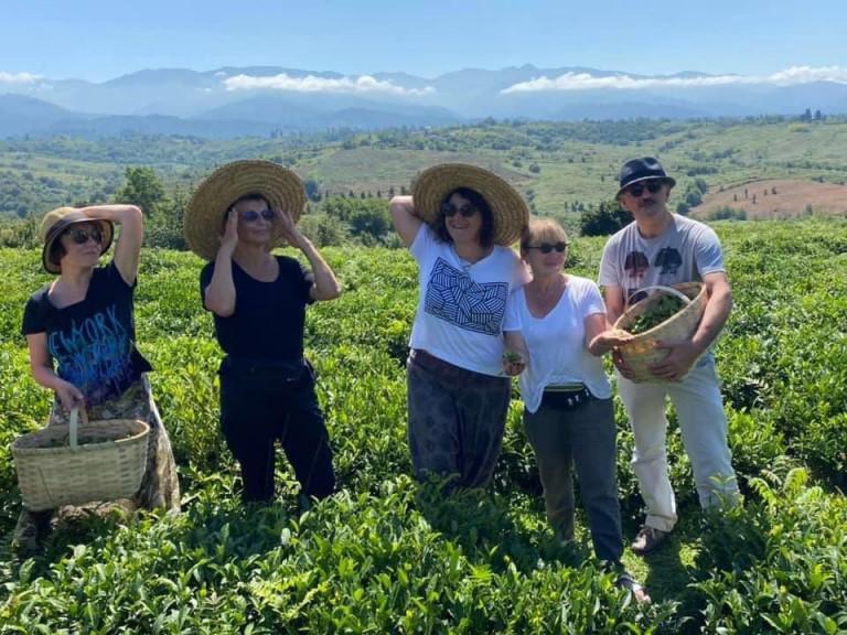 ნაგომარის ჩაის სახლი