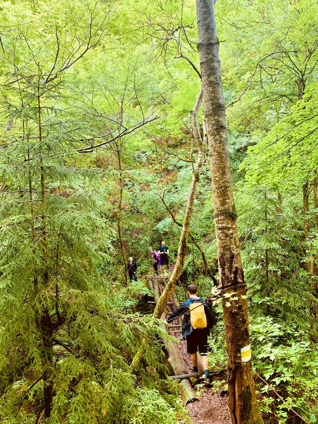 Tavkavta Canyon Day Hike – 24 June