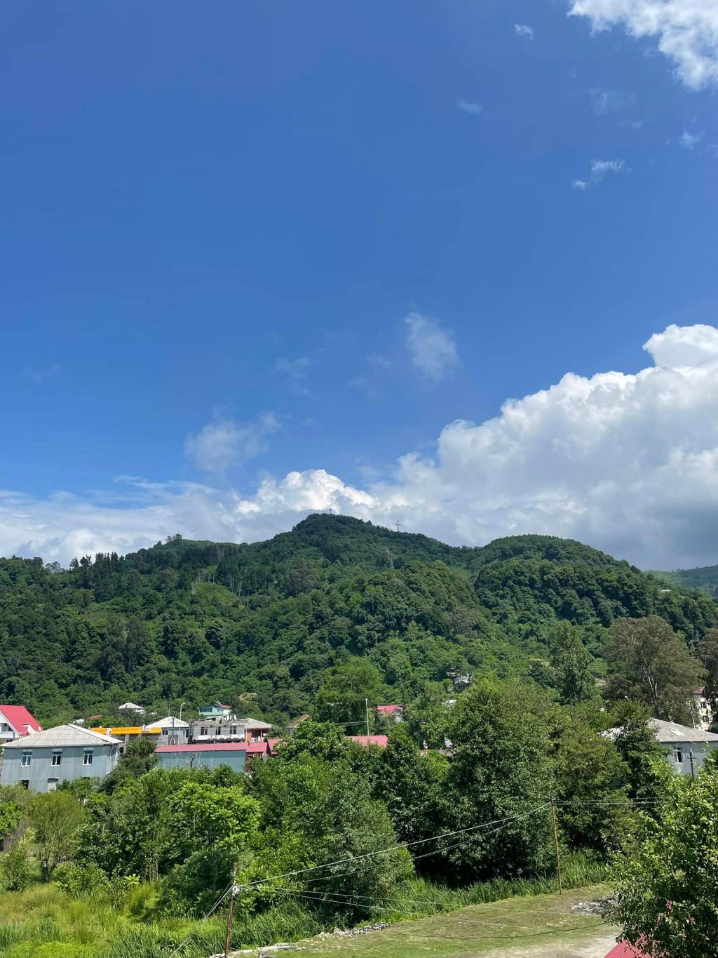 ჰოლიდეი გონიო