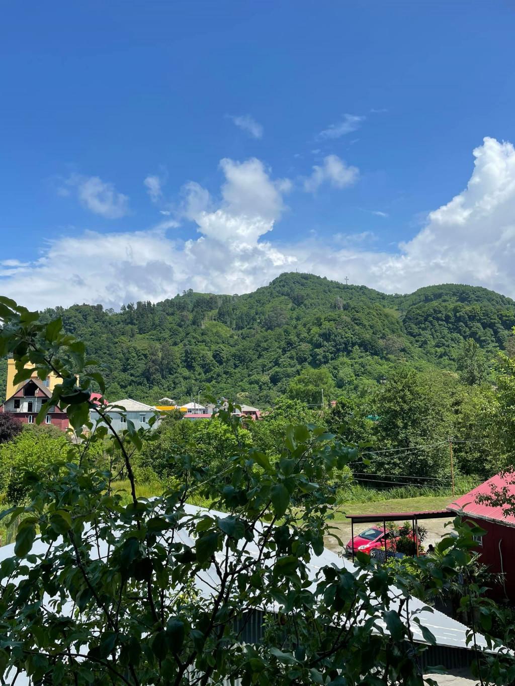 ჰოლიდეი გონიო