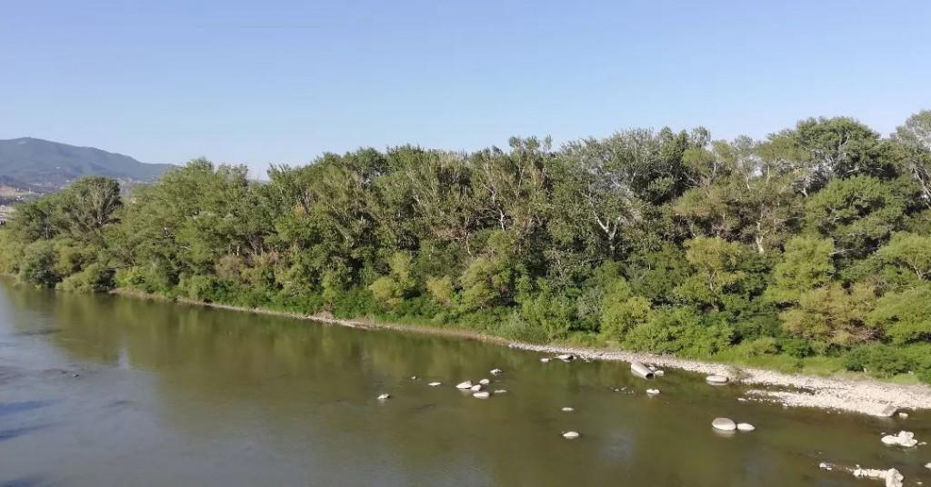 დიღმის ჭალები