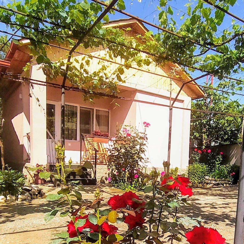 საოჯახო სასტუმრო რაჭაში ,,საბა\'\'