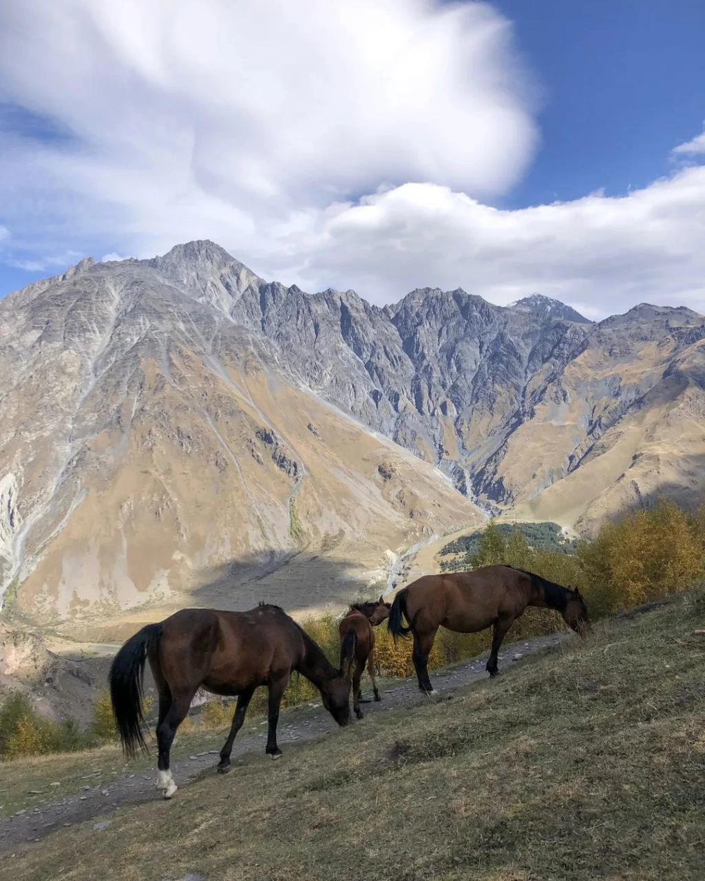 294579441_3184014541862022_18777