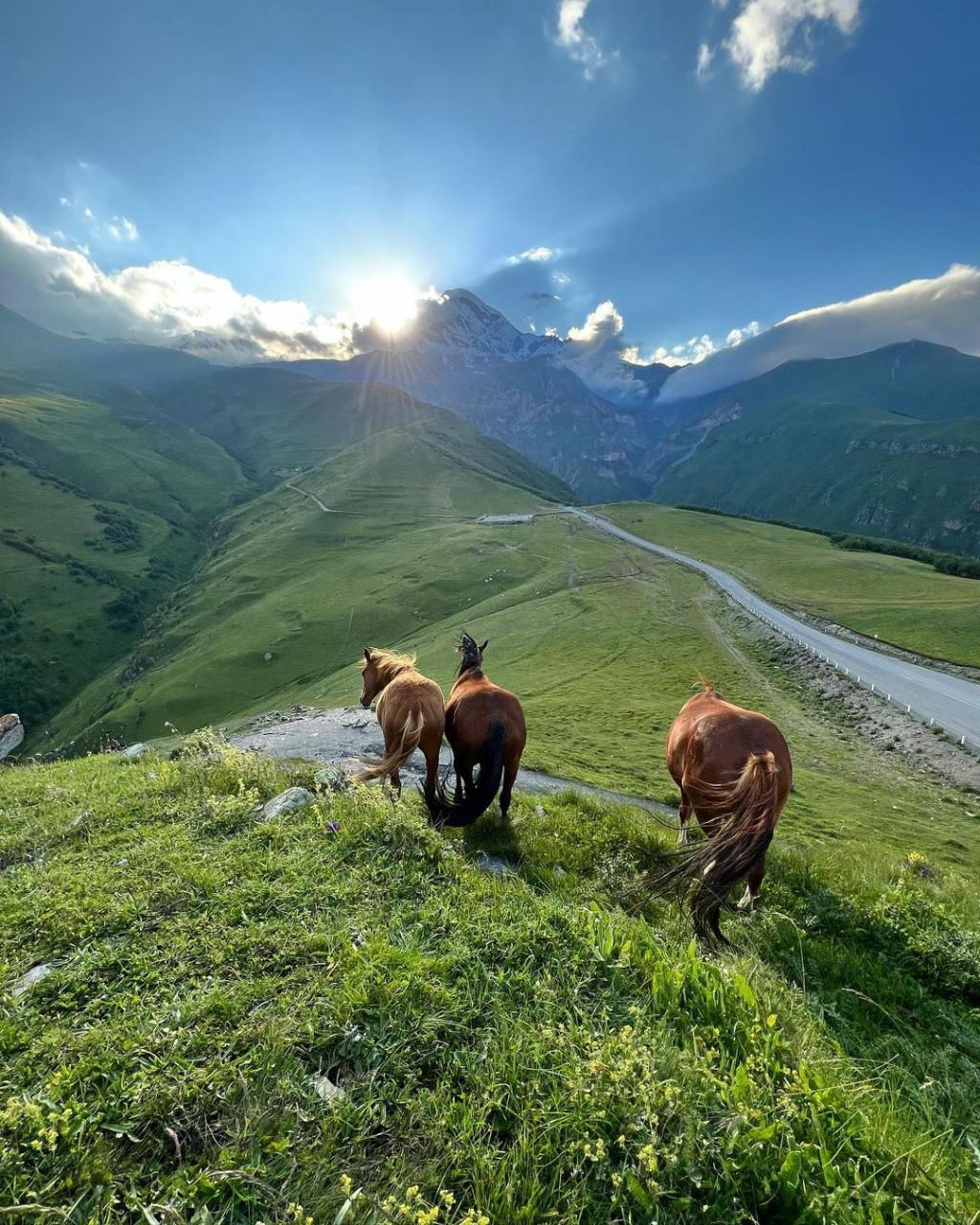 294612220_735879417486944_507282