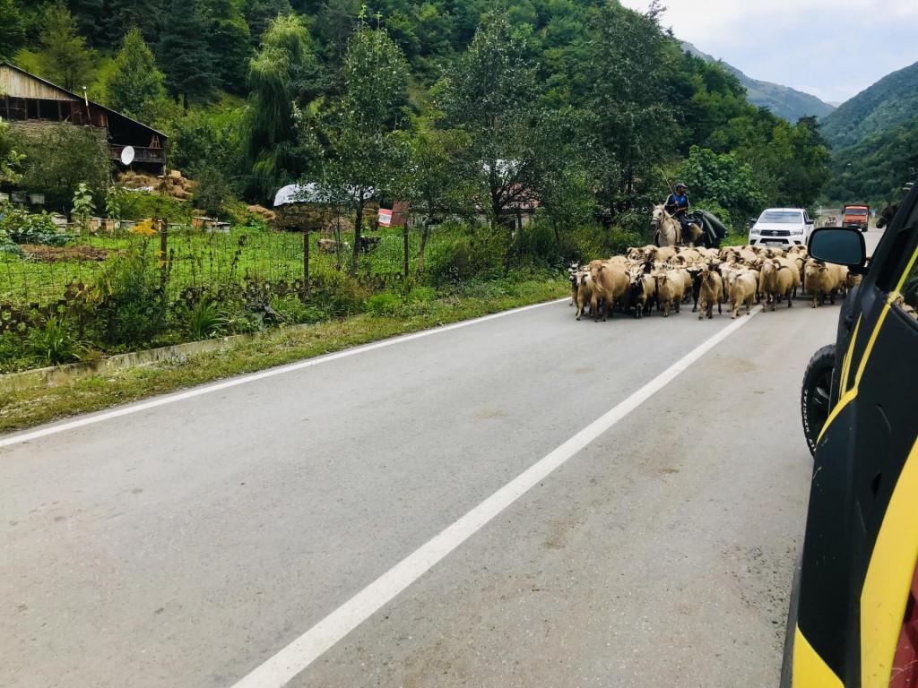 Джип Тур Шатили - Казбеги Грузия