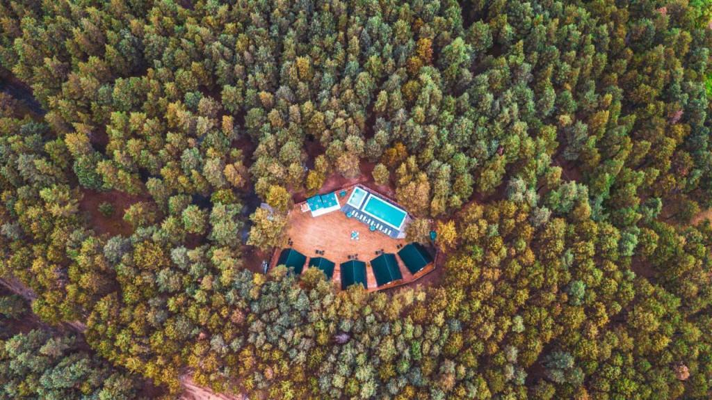 Park Hotel Surami Chalet